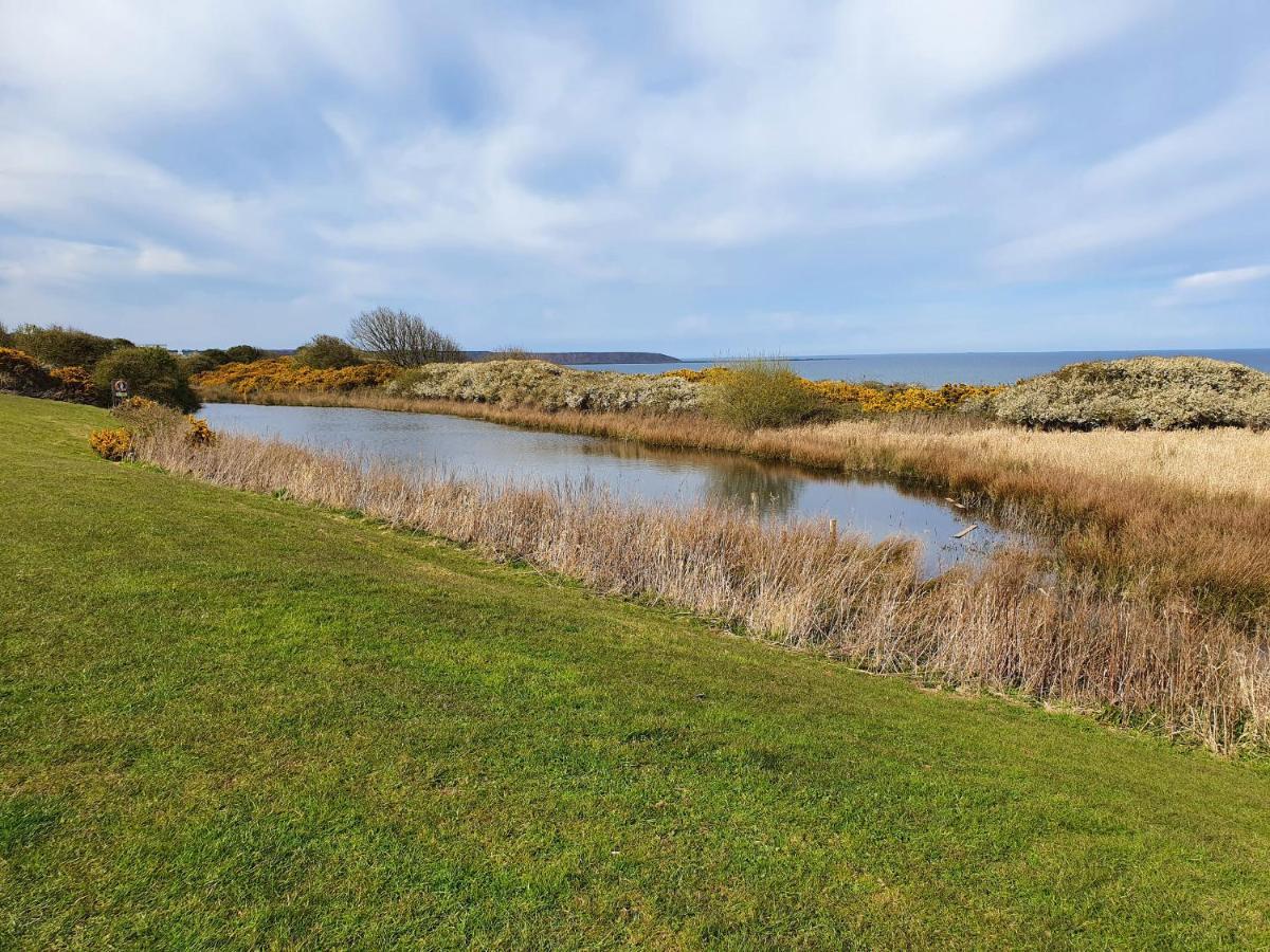 Puffin Cottage Filey Bagian luar foto